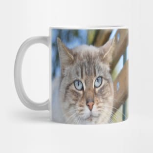 Strong cat Mug